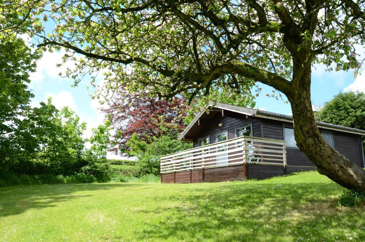 Avallon Lodges Launceston Exterior foto