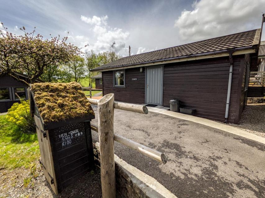 Avallon Lodges Launceston Exterior foto