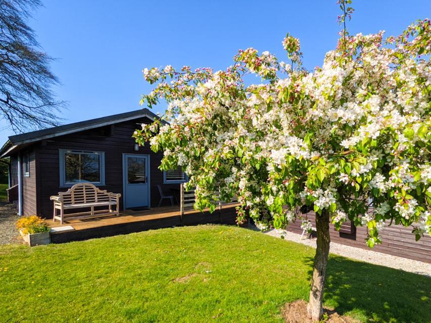 Avallon Lodges Launceston Exterior foto